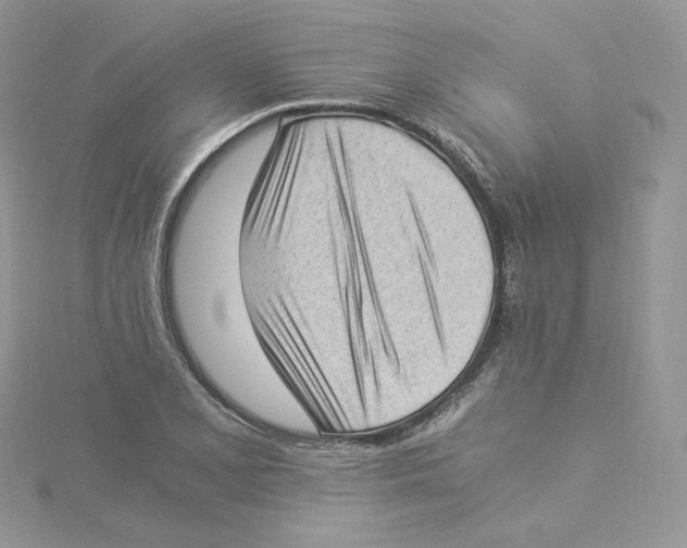 X0000114521077200911161311