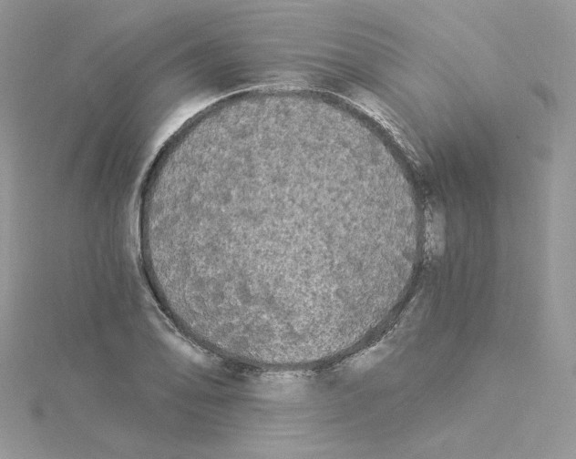 X0000114521078200911161311