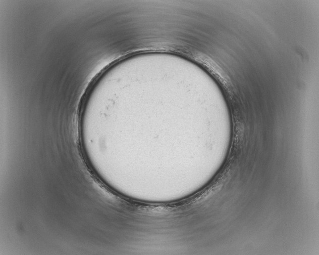 X0000114521079200911161311