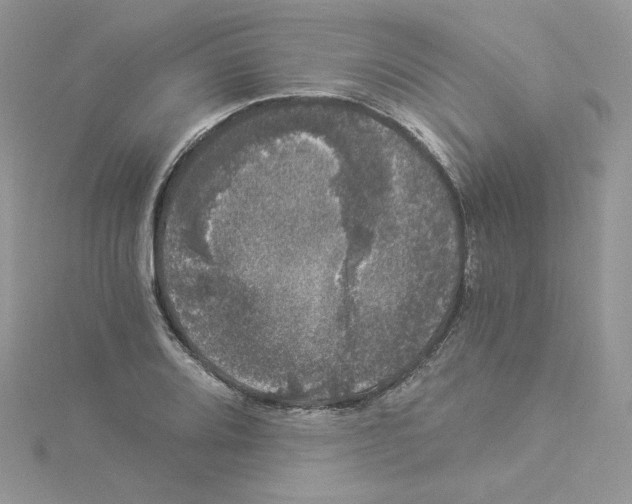 X0000114521080200911161311