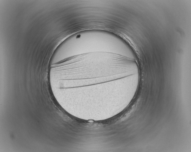 X0000114521081200911161311