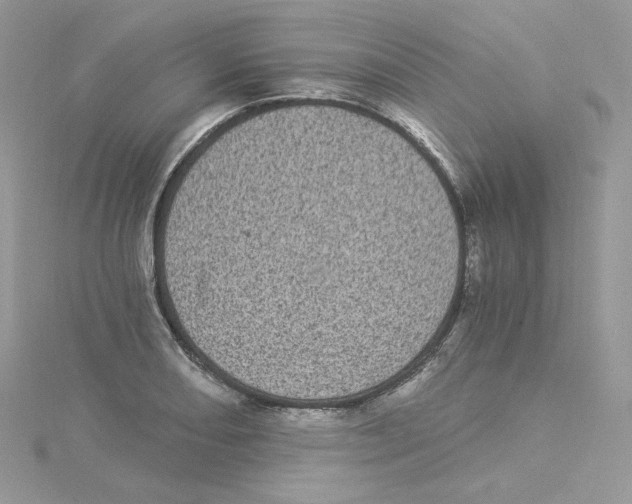 X0000114521082200911161311