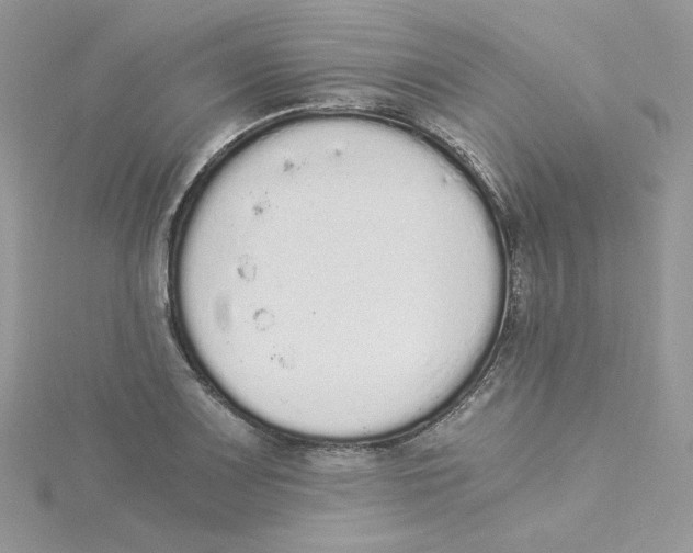 X0000114521083200911161311