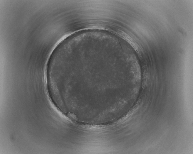 X0000114521084200911161311