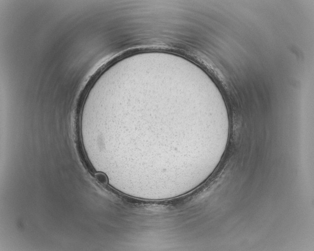 X0000114521085200911161311