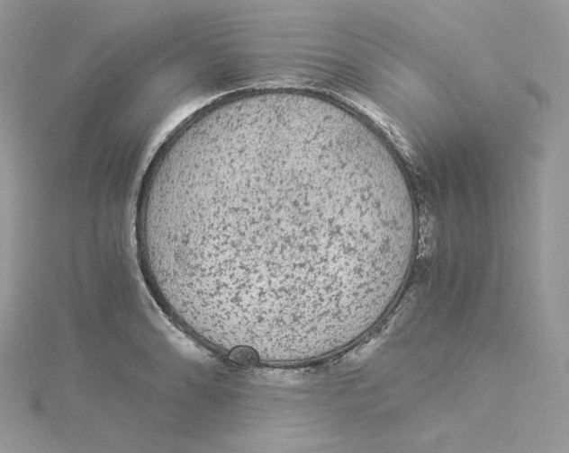 X0000114521086200911161311