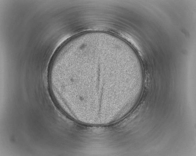 X0000114521087200911161311