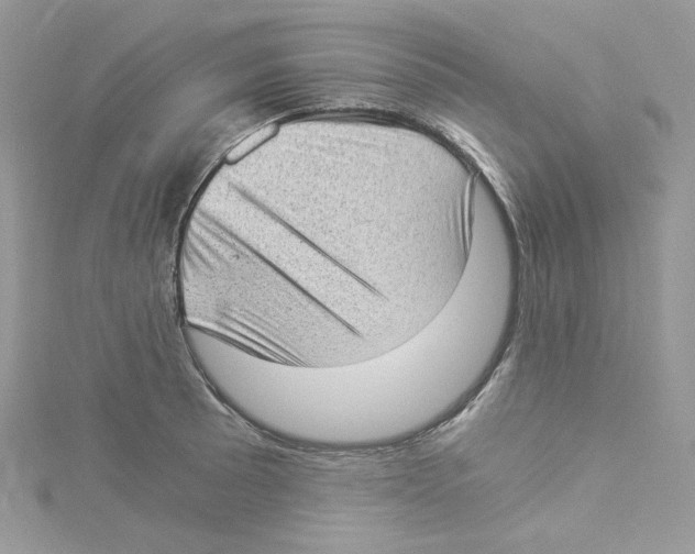 X0000114521089200911161311