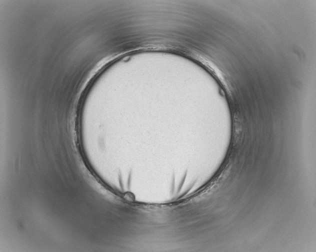 X0000114521091200911161311