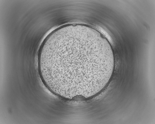 X0000114521092200911161311