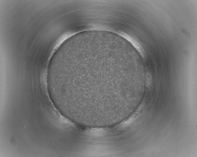 X0000114521094200911161311