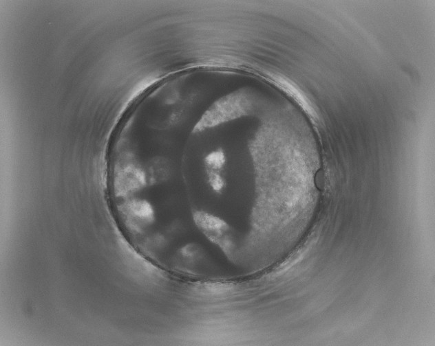 X0000114521095200911161311