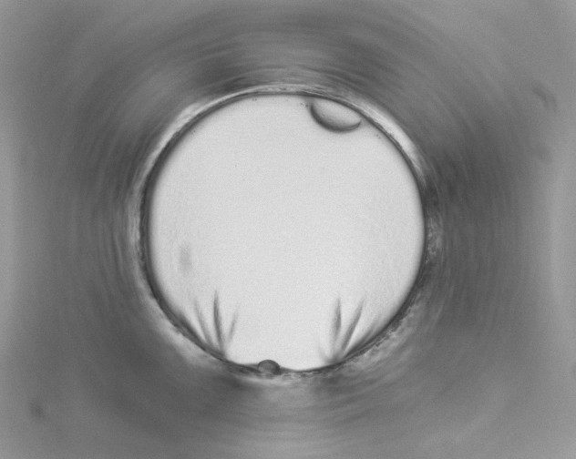 X0000114521099200911161311