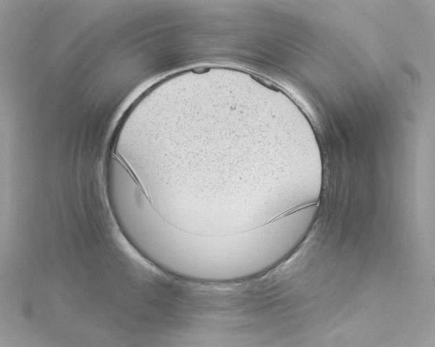 X0000114521100200911161311