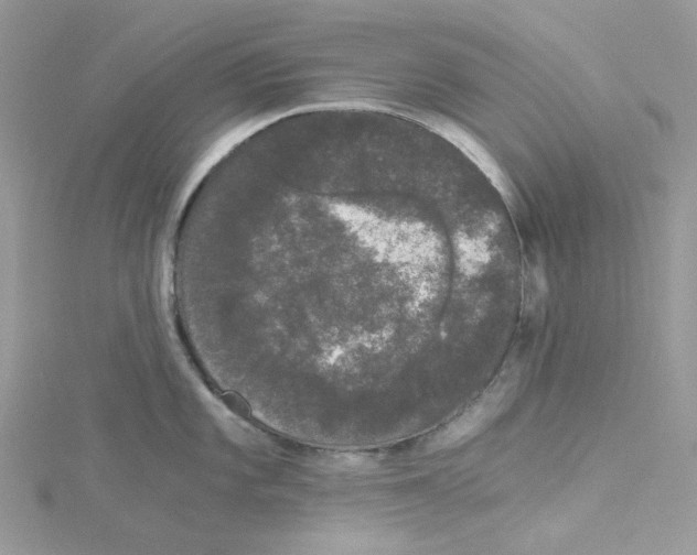 X0000114521101200911161311