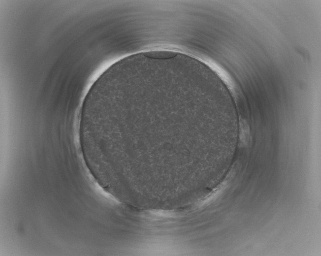 X0000114521102200911161311