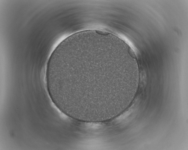 X0000114521103200911161311