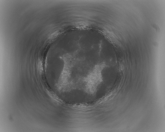 X0000114521106200911161310