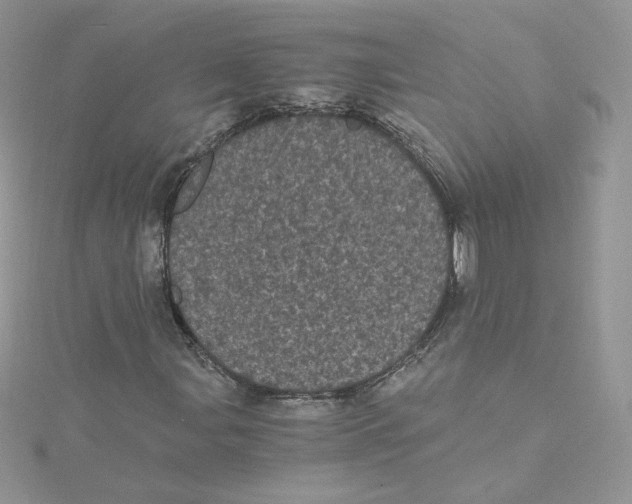 X0000114521107200911161310