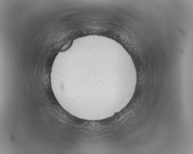 X0000114521109200911161310