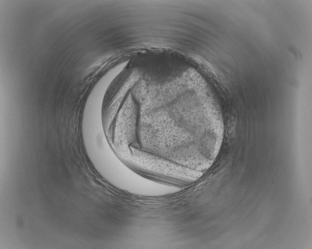 X0000114521110200911161310