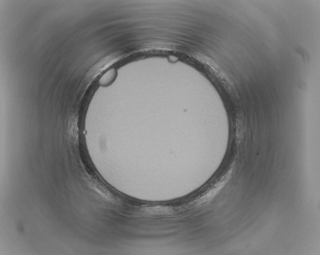 X0000114521113200911161310