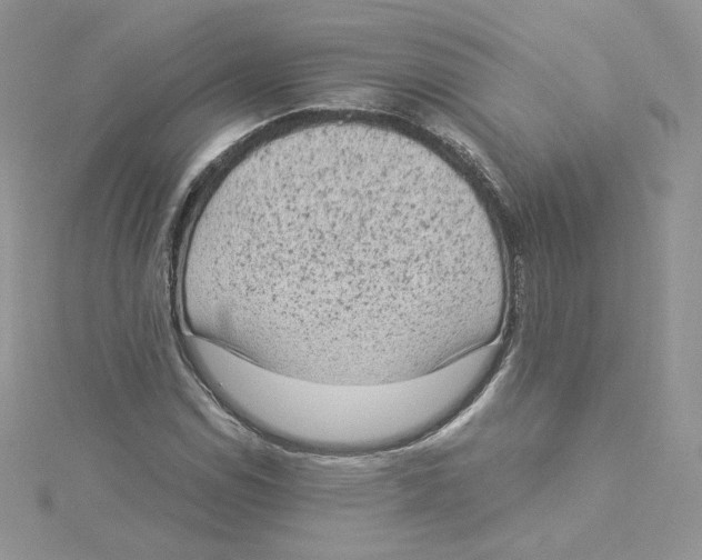 X0000114521114200911161310