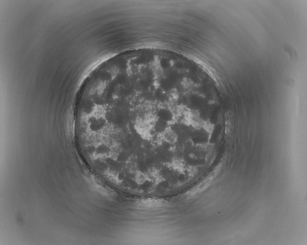 X0000114521117200911161310