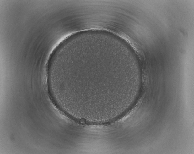 X0000114521118200911161310