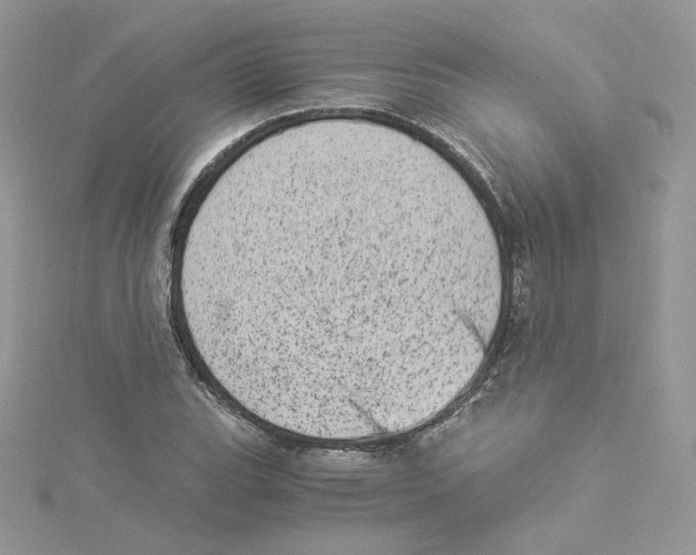 X0000114521119200911161310