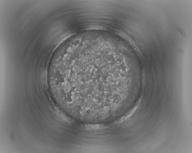 X0000114521121200911161310