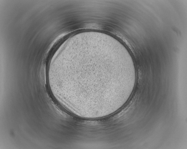 X0000114521123200911161310