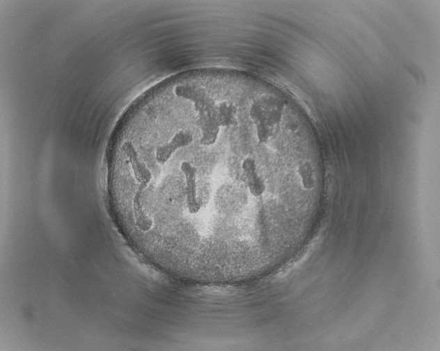 X0000114521125200911161310