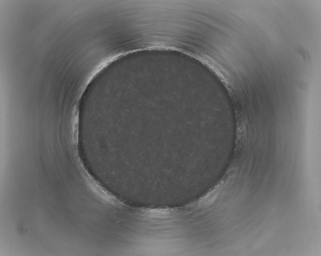 X0000114521126200911161310