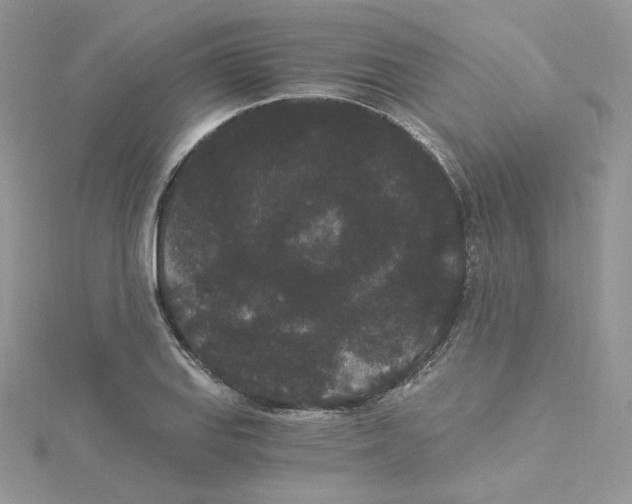 X0000114521127200911161310