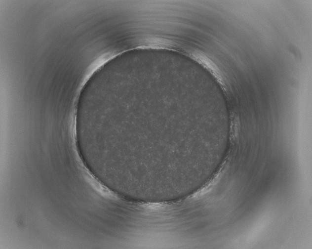 X0000114521130200911161310