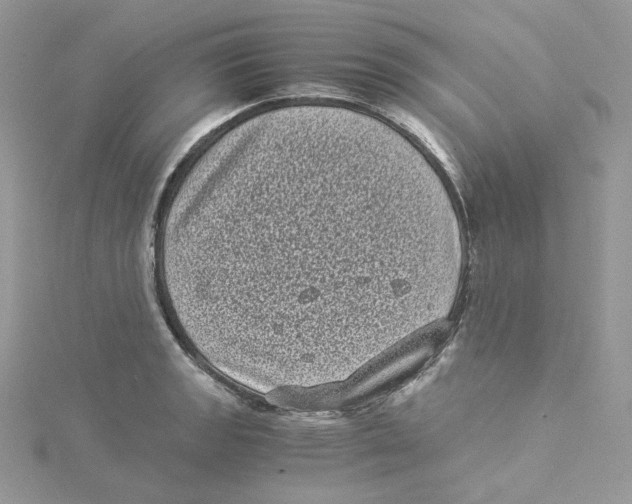 X0000114521133200911161311