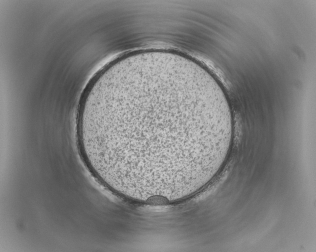 X0000114521134200911161311