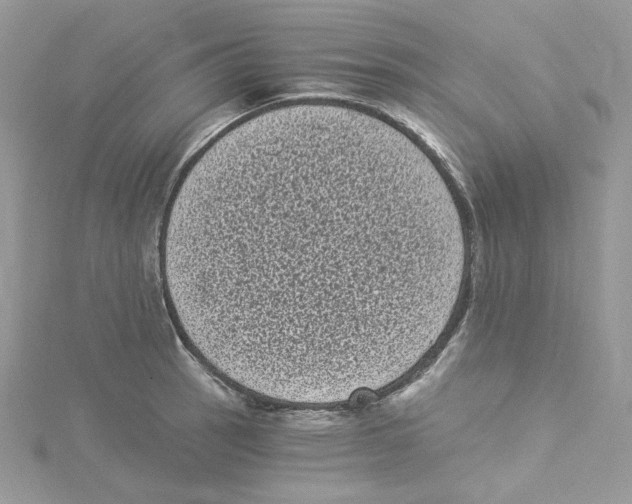 X0000114521137200911161311