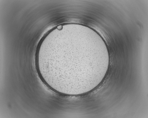 X0000114521139200911161311