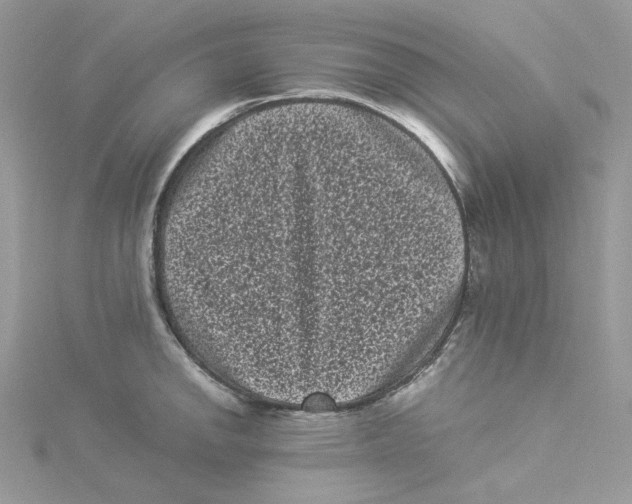 X0000114521142200911161311