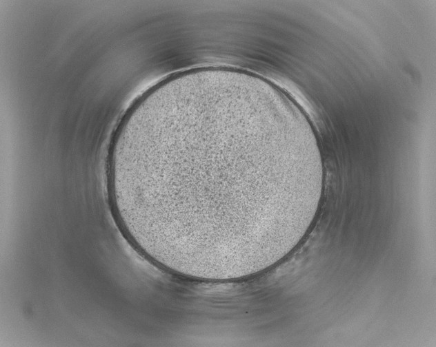 X0000114521143200911161311