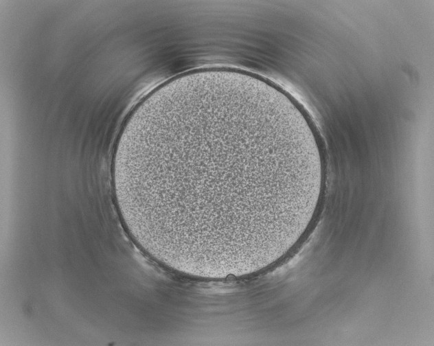 X0000114521145200911161311