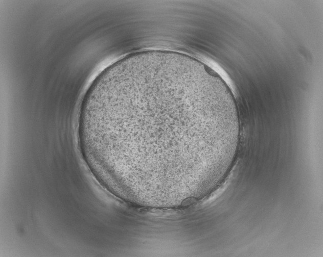 X0000114521146200911161311