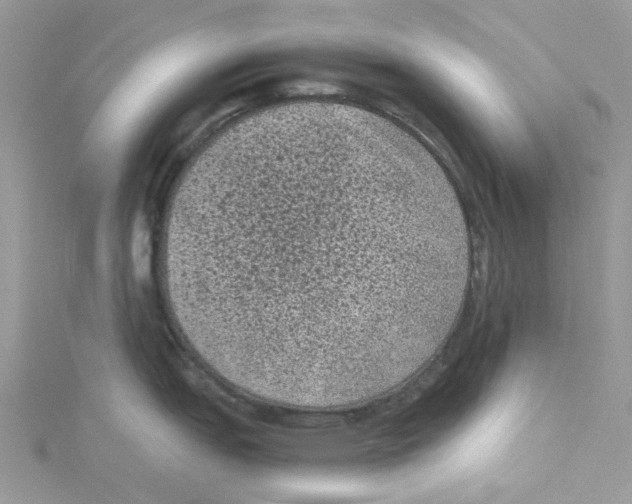 X0000114521151200911161311