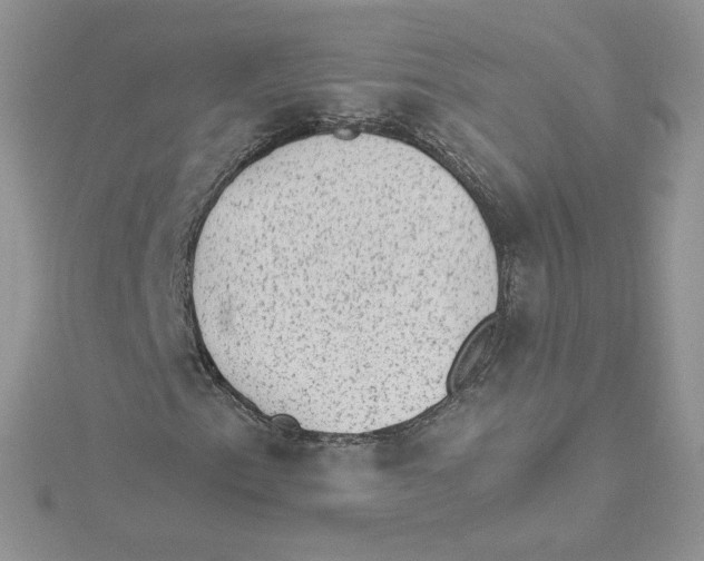 X0000114521153200911161310