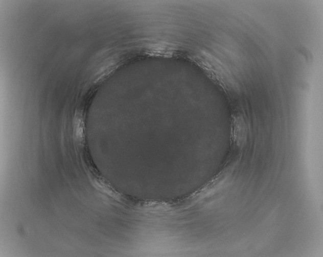 X0000114521154200911161310