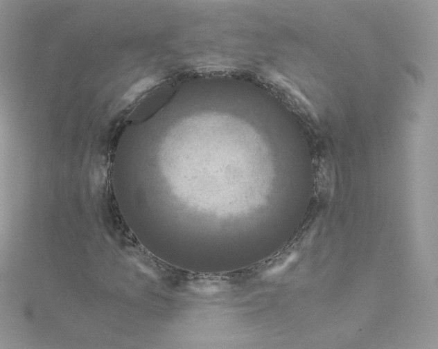 X0000114521157200911161310