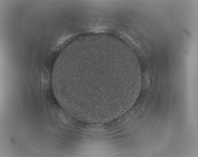 X0000114521158200911161310