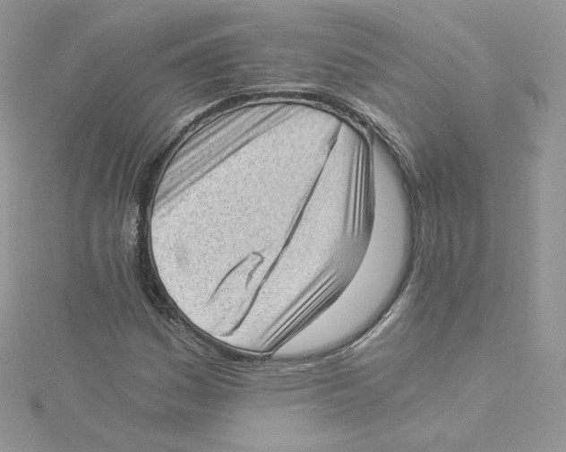 X0000114521161200911161310